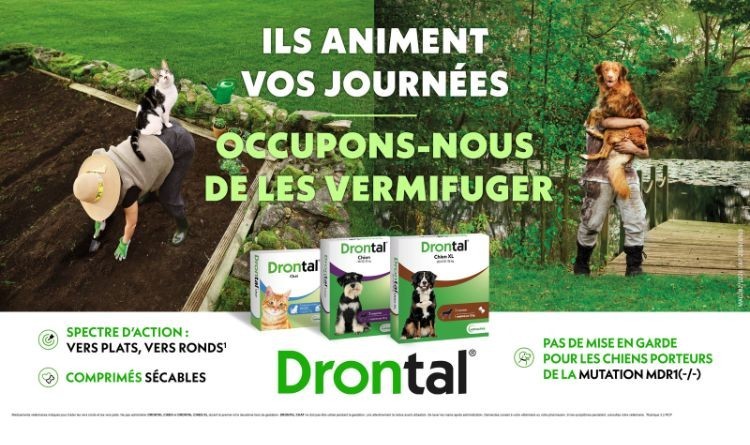 Illustration d’une offre promotionnelle