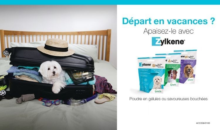 Illustration d’une offre promotionnelle