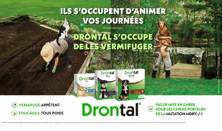 Illustration d’une offre promotionnelle