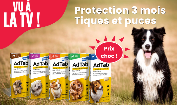 Illustration d’une offre promotionnelle