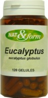 EUCALYPTUS 120 gélules