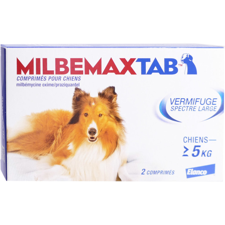 Capstar 57 mg comprimé pour chiens, boite de 6 comprimés